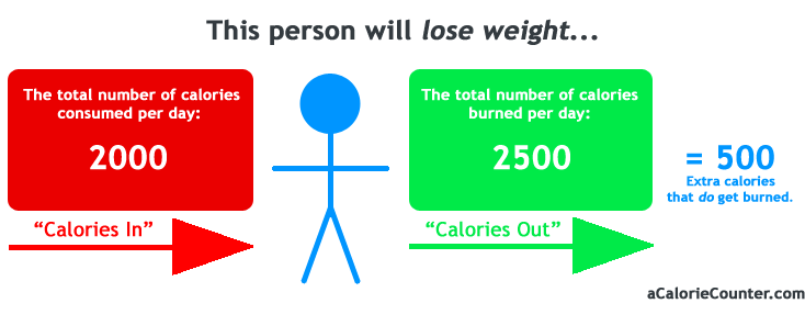 Will A 2000 Calorie Diet Help You Lose Weight